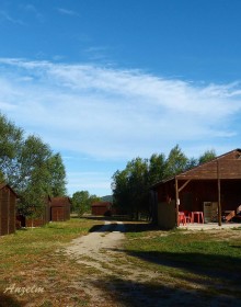 tó-kő-005-másolat